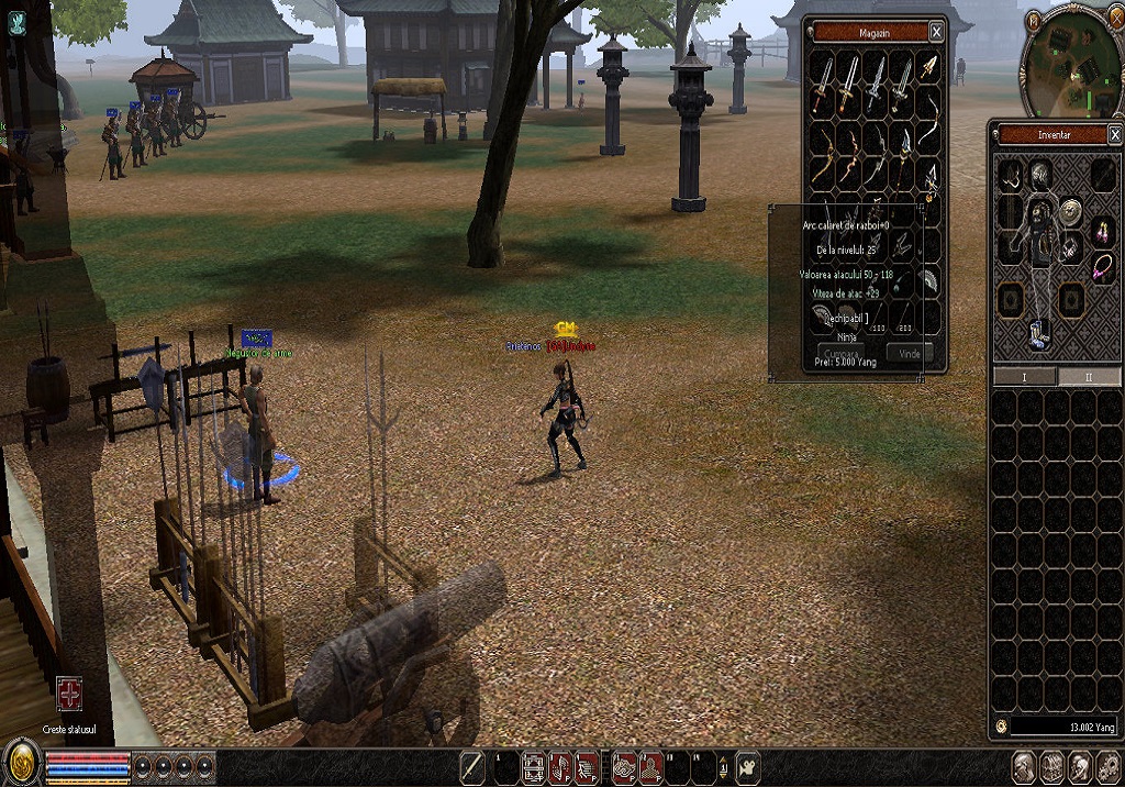 gazduire Metin2, Hosting Metin2, Host metin2, host server metin2, gazduire server metin2
